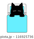 猫が布団で寝ているイラスト 116925736