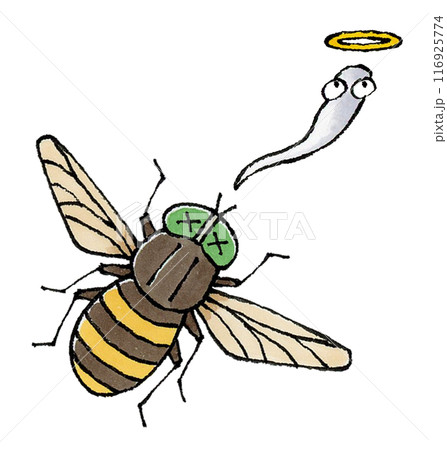 死んだアブ 死んだアブ 116925774