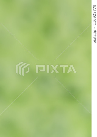 和紙によるボケ味を持つ背景素材（グリーン） 116925779