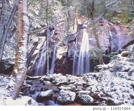 金引の滝（かなびきのたき）の雪景色「日本の滝百選」 京都府宮津市 116925864