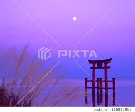 琵琶湖湖畔、白鬚神社の大鳥居と中秋の名月「近江の厳島」 /滋賀県高島市鵜川 116925865