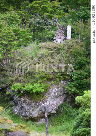 鶴見岳・身代わり不動 116925890
