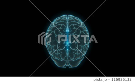 青く発光する抽象的な脳 116926132