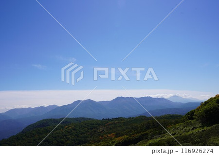 大雪山の秋の始まりと雲海 116926274