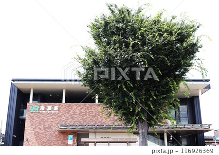 指扇駅　南口 116926369