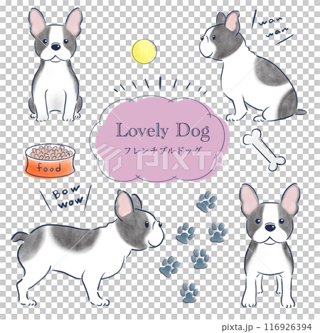 French bulldog colored pencil hand-drawn illustration set 116926394