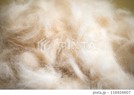 beige animal fur beige animal fur 116926607
