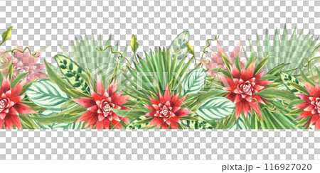 Tropical leaves with red flowers, palm leaf, curly creeper, home plant greenery. Watercolor Seamless border, pattern. Exotic Hawaiian jungle floral clipart Painted illustration on isolated background  116927020