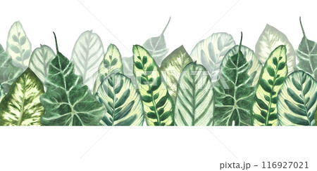 Tropical leaves watercolor seamless border. Jungle plants. Summer green realistic plant leaf, foliage. Hawaiian horizontal repeat flat pattern. Hand drawn illustration. Clipart on isolated background 116927021