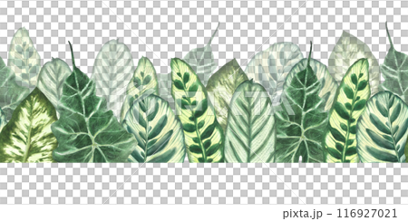 Tropical leaves watercolor seamless border. Jungle plants. Summer green realistic plant leaf, foliage. Hawaiian horizontal repeat flat pattern. Hand drawn illustration. Clipart on isolated background 116927021