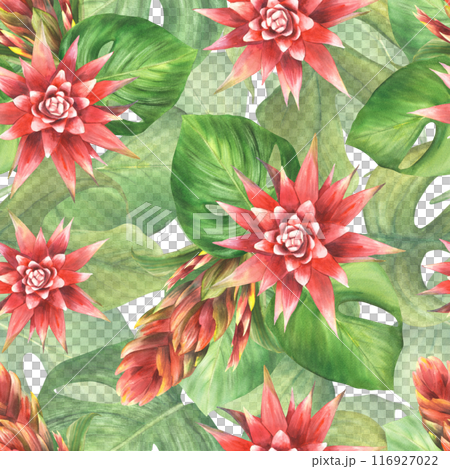 Tropical plant leaf and red flowers seamless pattern. Bromeliad buds, exotic leaves arrangement. Summer floral clipart. Watercolor hand drawn illustration for fabric, wallpaper on isolated background  116927022