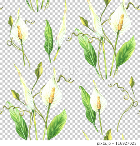 Tropic plant bouquet. Leaves, white bud, flowers. Seamless pattern. Creeper greenery, Anthurium, exotic tropical foliage. Watercolor painted illustration for fabric, wallpaper on isolated background  116927025