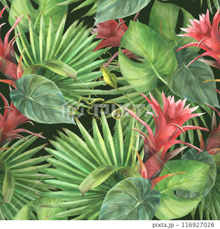 Tropical seamless pattern Bromeliad flowers, palm leaf. Exotic red bud, green leaves. Floral Hawaiian summer fabric design Watercolor hand drawn illustration for wallpaper on isolated dark background  116927026