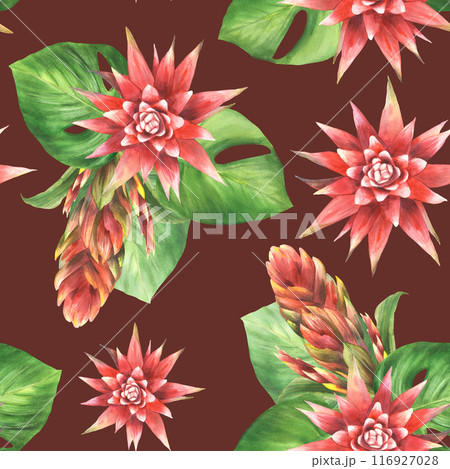 Tropical plant flowers seamless pattern Red bromeliad buds, exotic leaves bouquet. Hawaiian summer floral clipart. Watercolor hand drawn illustration for fabric, wallpaper on isolated dark background  116927028