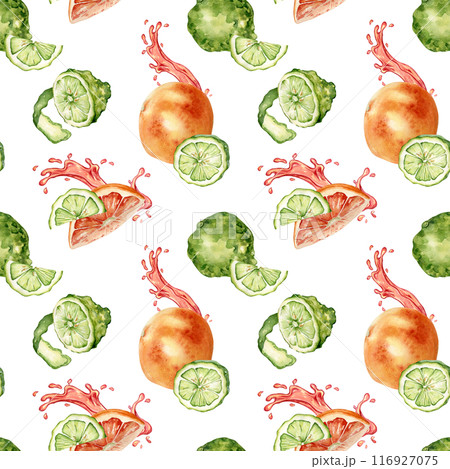 Citrus ripe fruits with juicy splash on watercolor seamless pattern isolated on white. Hand drawn bright summer plants bergamot and grapefruit in botanical sketch style for textile, package products Citrus ripe fruits with juicy splash on watercolor seamless pattern isolated on white. Hand drawn bright summer plants bergamot and grapefruit in botanical sketch style for textile, package products 116927075