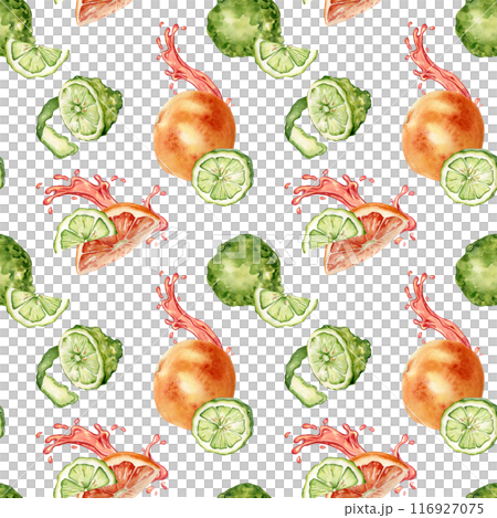 Citrus ripe fruits with juicy splash on watercolor seamless pattern isolated on white. Hand drawn bright summer plants bergamot and grapefruit in botanical sketch style for textile, package products Citrus ripe fruits with juicy splash on watercolor seamless pattern isolated on white. Hand drawn bright summer plants bergamot and grapefruit in botanical sketch style for textile, package products 116927075