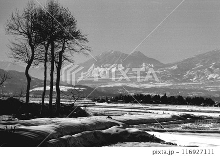 冬の里山から見る妙高山 116927111