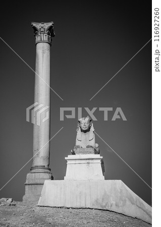 Ancient sphinx statue and Pompeys Pillar located in Alexandria, Egypt 116927260