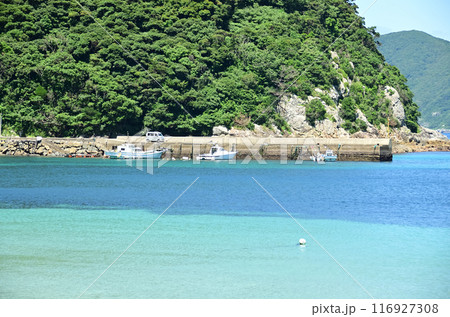 五島列島のエメラルドグリーンの海 五島列島のエメラルドグリーンの海 116927308