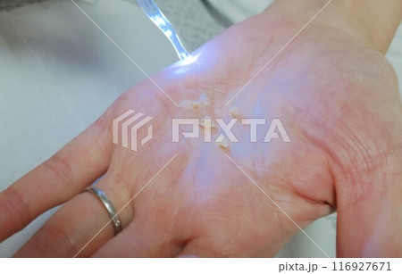 耳掃除 ear cleaning 耳掃除 ear cleaning 116927671