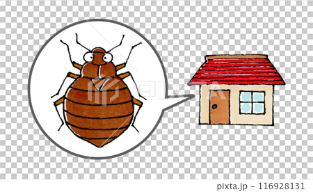 トコジラミと家 116928131
