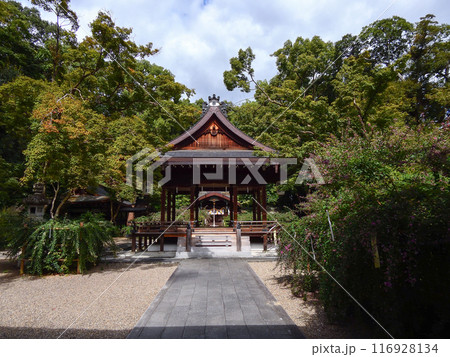 梨木神社　本殿と萩の花 116928134