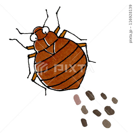 トコジラミと血糞 116928139