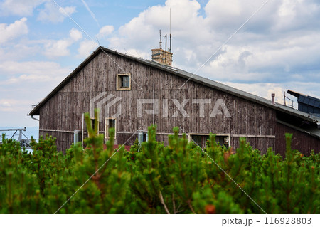 Rustic wooden house surrounded by lush green plants against cloudy sky in countryside. Weathered hut in nature landscape 116928803