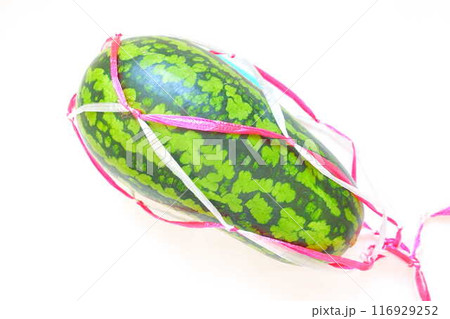 スイカ すいか 西瓜 うり坊 スイカ すいか 西瓜 うり坊 116929252