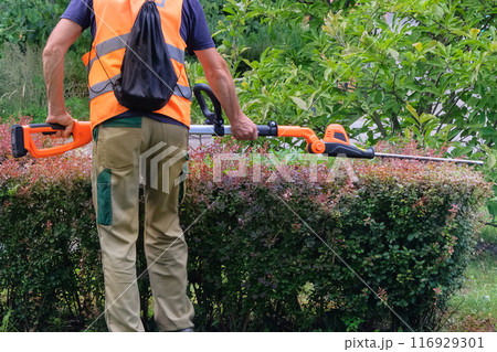Man in a uniform trims bushes in a city park in summer. Use of an electric trimmer in landscape design. 116929301