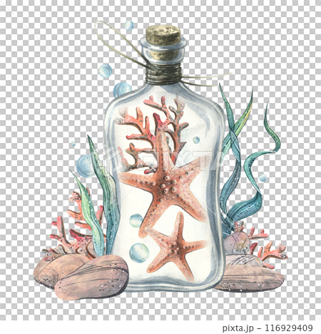 Starfish, algae, corals, pebbles and bubbles inside a glass bottle with a stopper. Hand drawn watercolor illustration of the underwater world. Composition isolated from the background. Starfish, algae, corals, pebbles and bubbles inside a glass bottle with a stopper. Hand drawn watercolor illustration of the underwater world. Composition isolated from the background. 116929409
