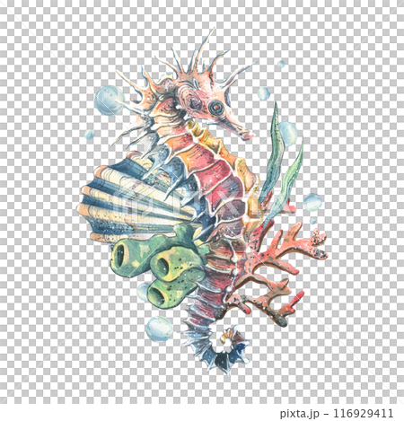 Seahorse, coral, sea sponge, algae and bubbles. Hand drawn watercolor illustration on the theme of sea animals and the underwater world. Composition isolated from the background. Seahorse, coral, sea sponge, algae and bubbles. Hand drawn watercolor illustration on the theme of sea animals and the underwater world. Composition isolated from the background. 116929411