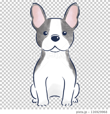 Watercolor hand-drawn illustration of a French bulldog sitting front view 116929968