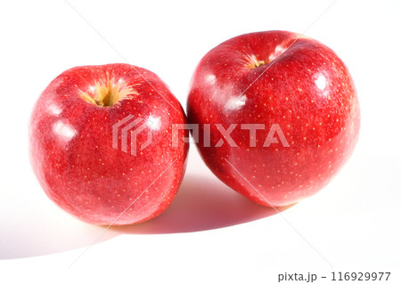 りんご（彩香） 116929977