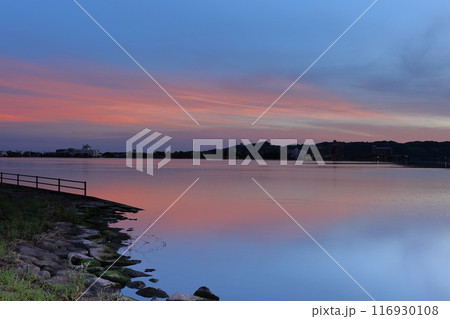 東郷池の朝景　3 116930108