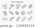 Organic Nuts Soybean Collection. Peanut, Almond 116930114