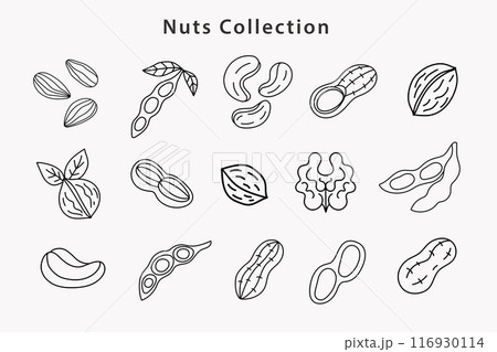 Organic Nuts Soybean Collection. Peanut, Almond Organic Nuts Soybean Collection. Peanut, Almond 116930114