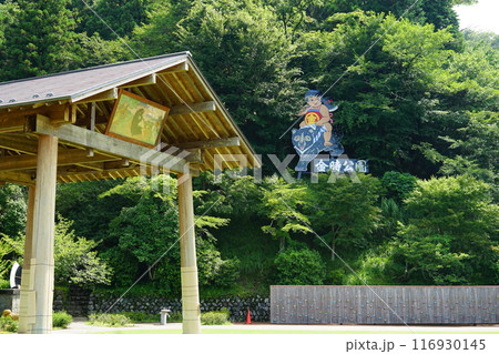 静岡県駿東郡小山町の金時公園の風景 静岡県駿東郡小山町の金時公園の風景 116930145