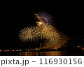 夜空に打ちあがる花火 116930156