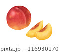 ネクタリン　1個と2切れ 116930170