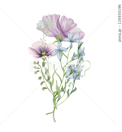 Watercolor poppy bouquet. Wildflowers arrangement purple poppy flowers with blue forget me not. Summer floral composition Watercolor poppy bouquet. Wildflowers arrangement purple poppy flowers with blue forget me not. Summer floral composition 116930196