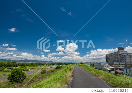 淀川夏景色 堤防の上からの眺め 淀川夏景色 堤防の上からの眺め 116930213