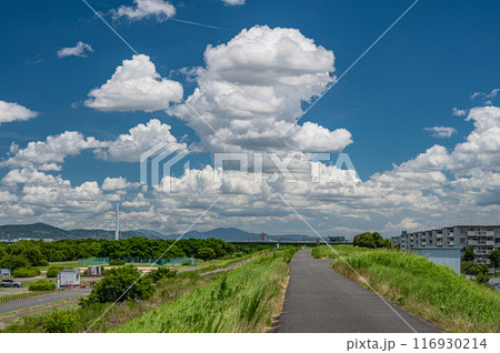 淀川夏景色 堤防の上からの眺め 淀川夏景色 堤防の上からの眺め 116930214