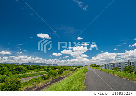 淀川夏景色 堤防の上からの眺め 淀川夏景色 堤防の上からの眺め 116930217