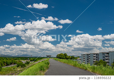 淀川夏景色 堤防の上からの眺め 淀川夏景色 堤防の上からの眺め 116930222