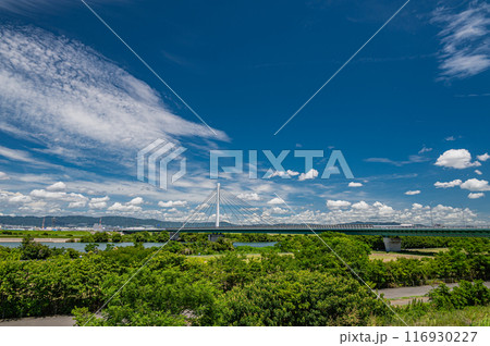 淀川夏景色　堤防の上からの眺め 116930227