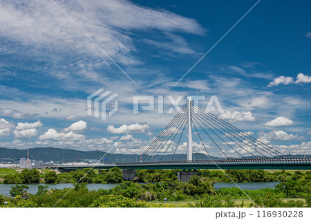 鳥飼仁和寺大橋 116930228