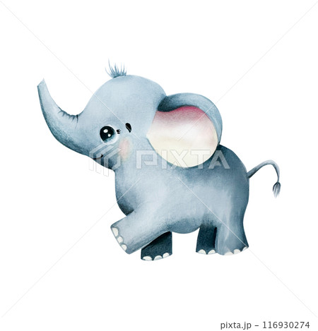 Cute baby elephant. Watercolor hand drawn safari animal illustration isolated on background. For designers, postcards, greetings, birthday, calendar, wallpapers, wrapping paper, scrapbooking, covers, Cute baby elephant. Watercolor hand drawn safari animal illustration isolated on background. For designers, postcards, greetings, birthday, calendar, wallpapers, wrapping paper, scrapbooking, covers, 116930274