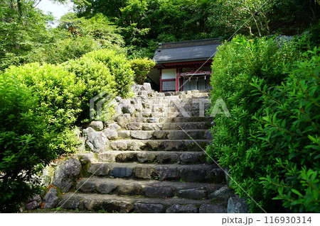 静岡県駿東郡小山町の金時神社の風景 静岡県駿東郡小山町の金時神社の風景 116930314