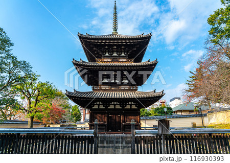 【奈良県】綺麗な青空が広がる興福寺の三重塔 116930393
